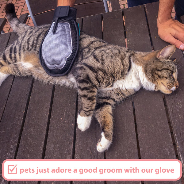 Zenify Pets Luxury Pet Grooming Glove