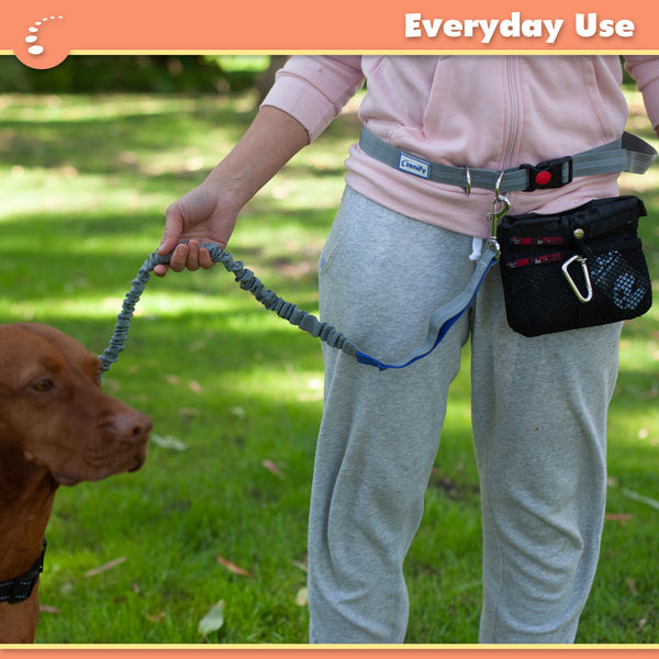 Zenify Pets Hands Free Dog Leash Bungee Waist Belt for Running Walking