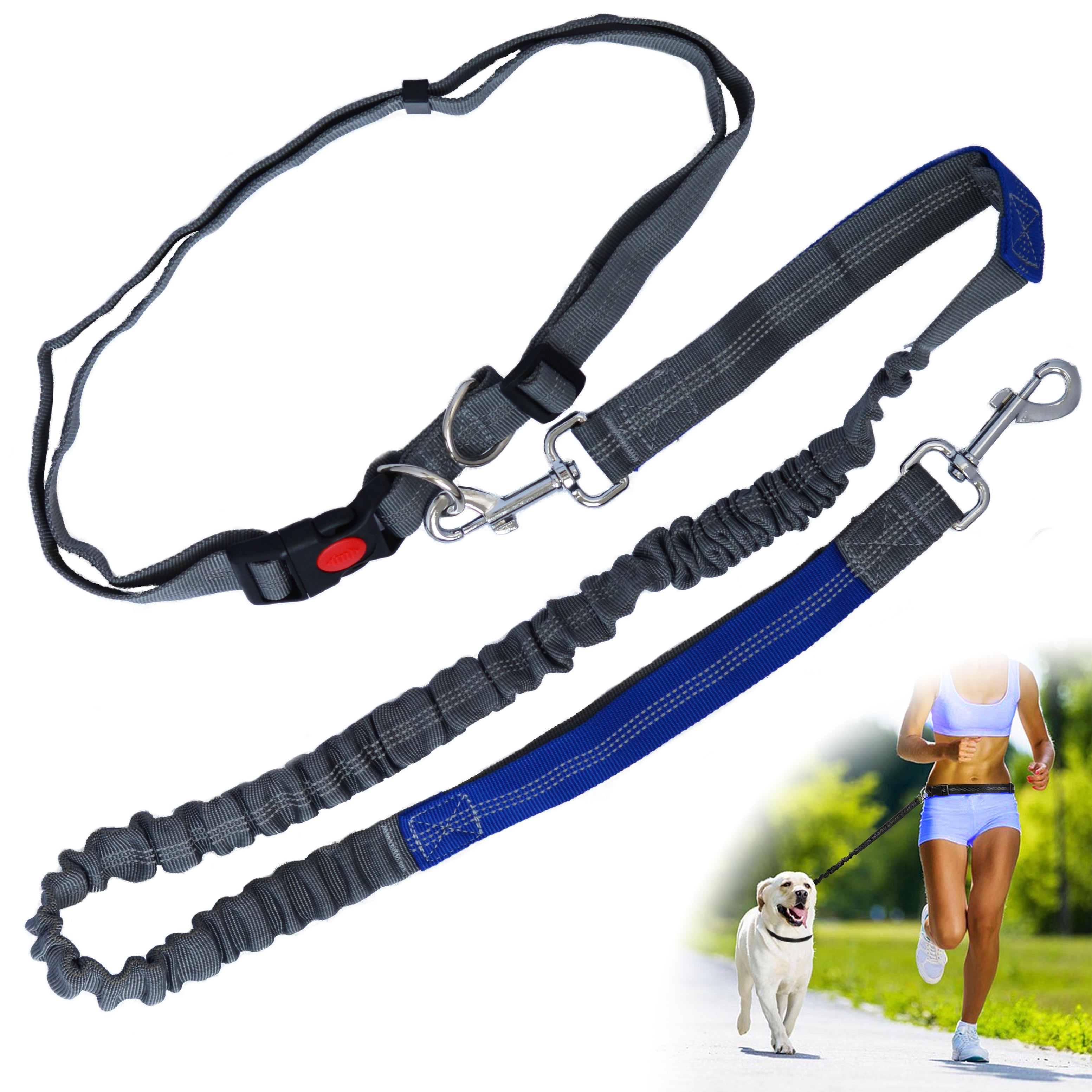 Dog Running Leash Dog Walking Utility Belt Running Leash For Dogs