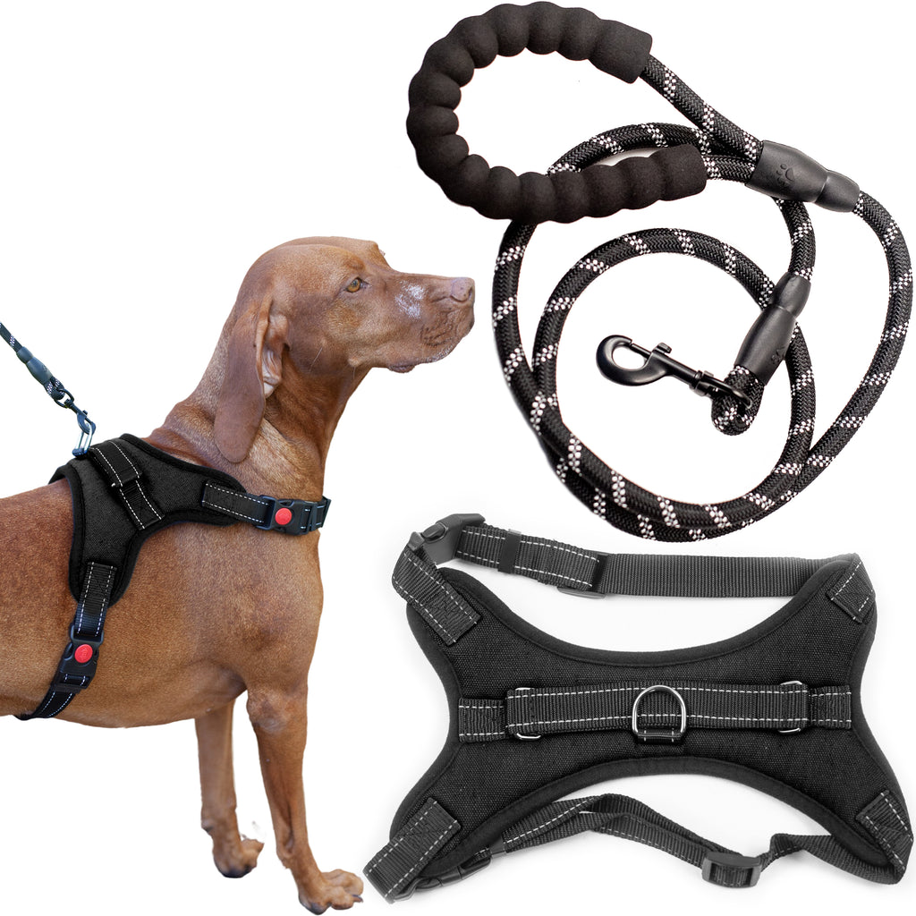 Zenify Pets Dog Harness Leash Set - Grab Handle No Pull