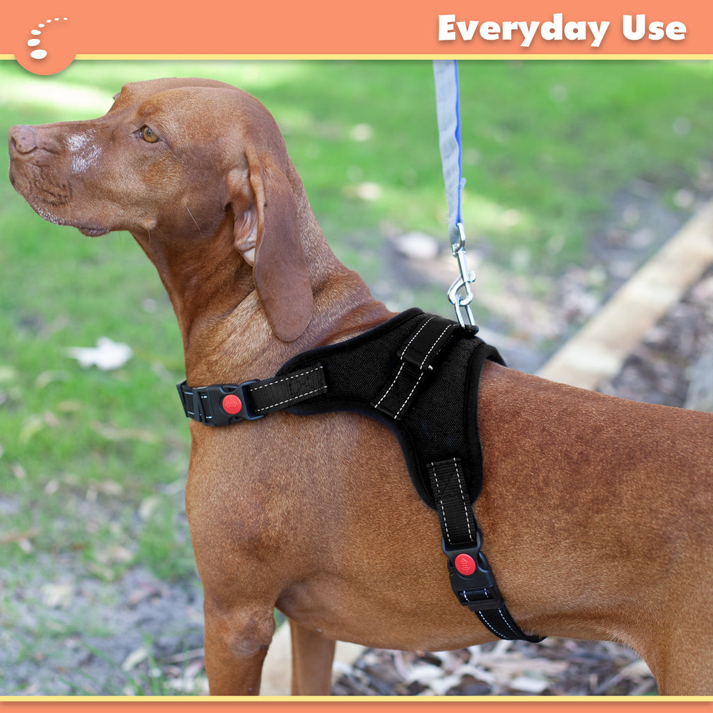 Dog harness with grab handle hotsell