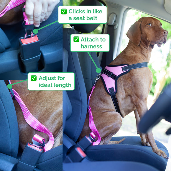 Zenify Pets Heavy Duty Dog Car Seat Belt