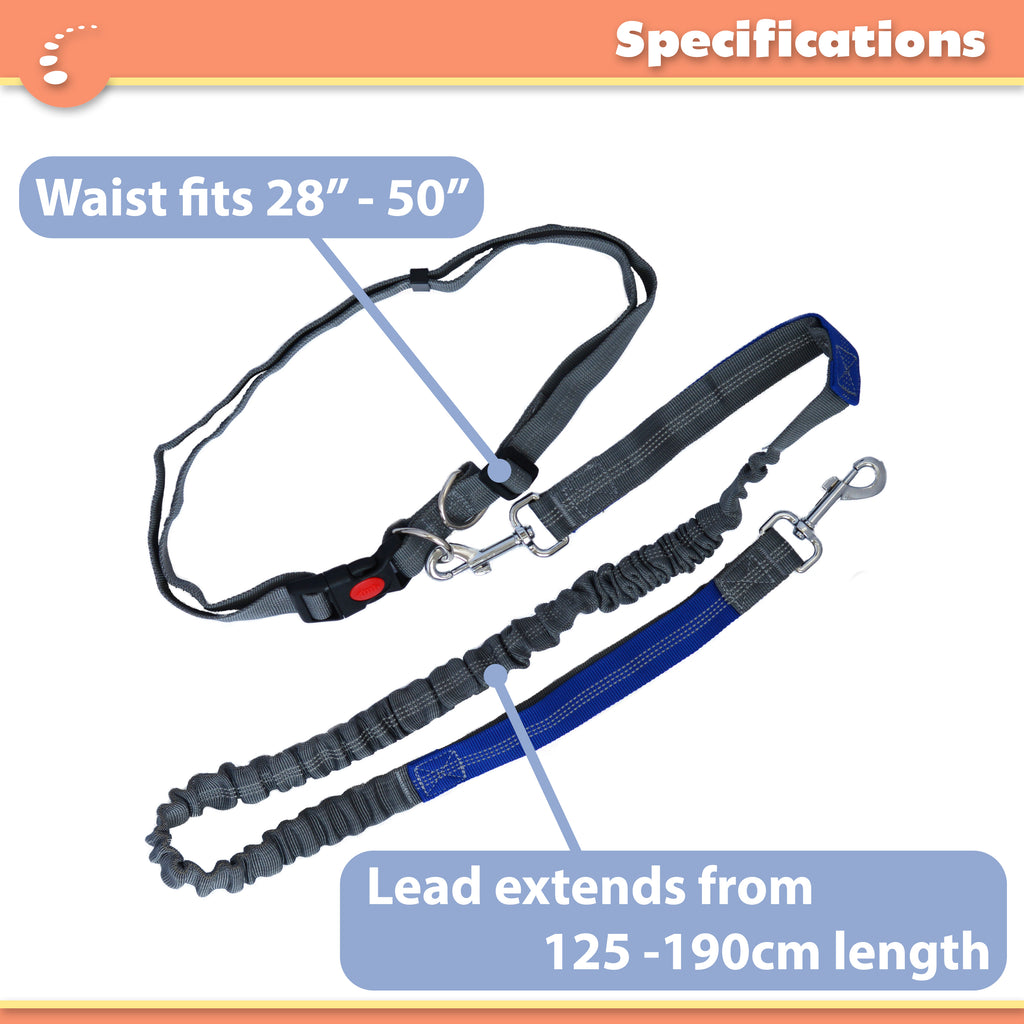 Belt leash hot sale